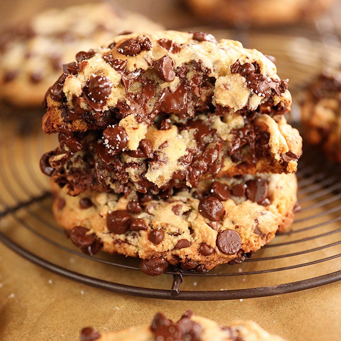 Ultimate Bakery Style Chocolate Chip Cookies