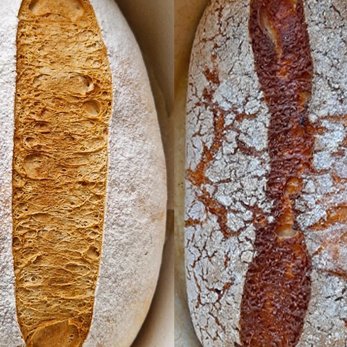Two-Way Gluten Free Dutch Oven Bread