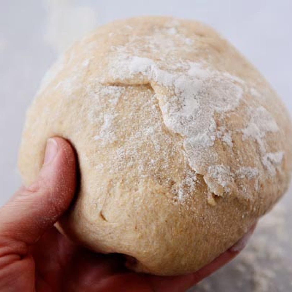 Overnight Whole Wheat Pizza Dough