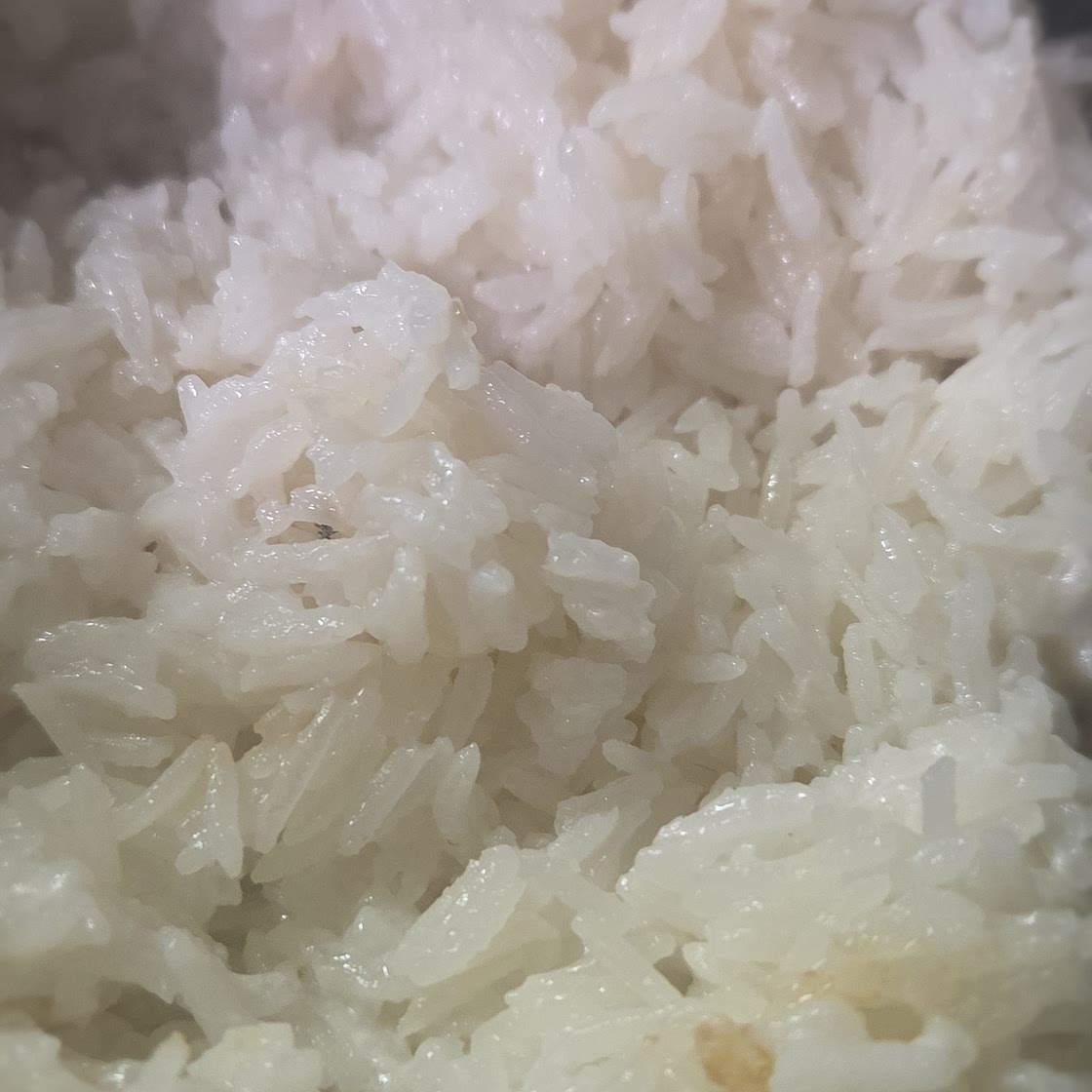 Thai Coconut Rice (Mini Rice Cooker)