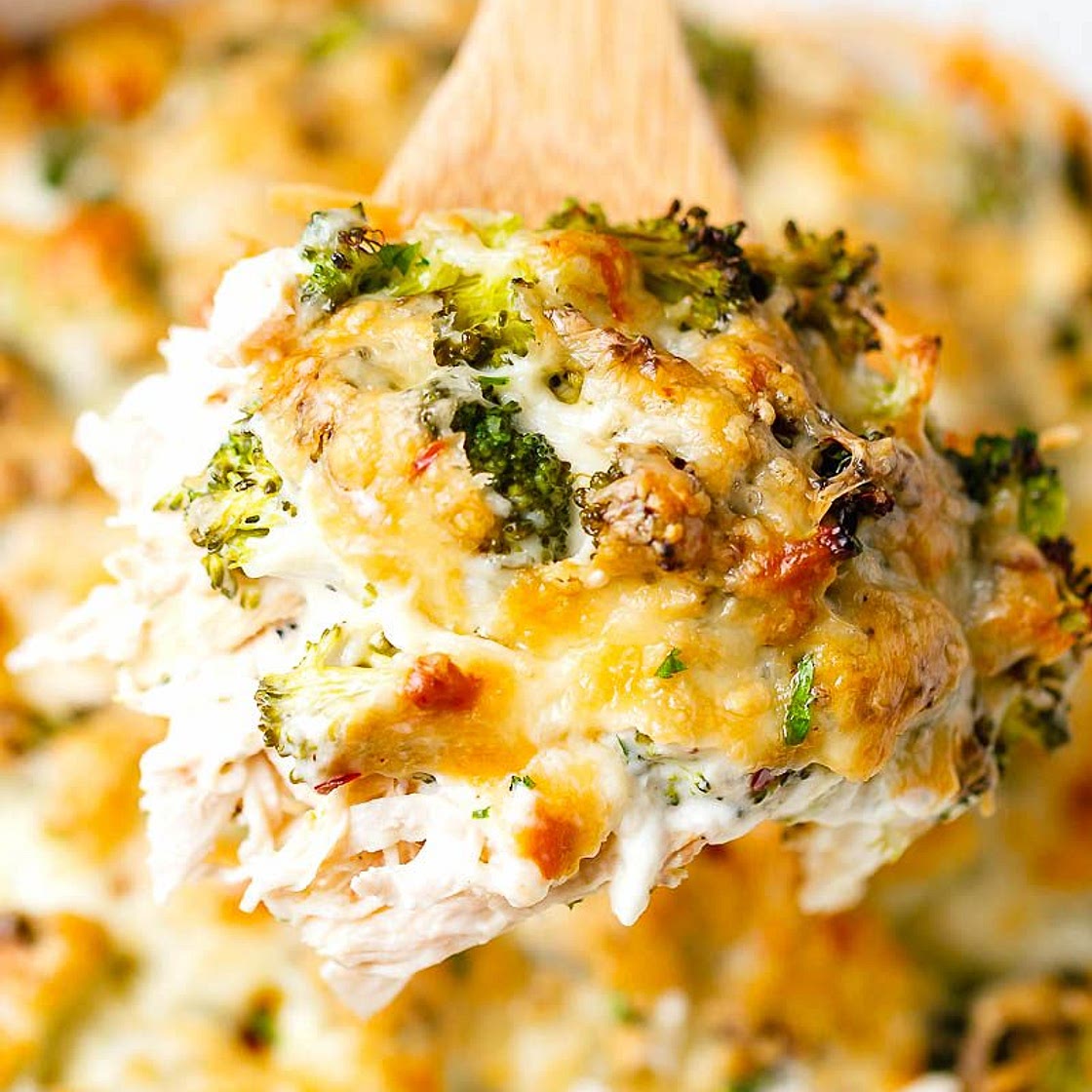 Broccoli Chicken Casserole with Cream Cheese and Mozzarella