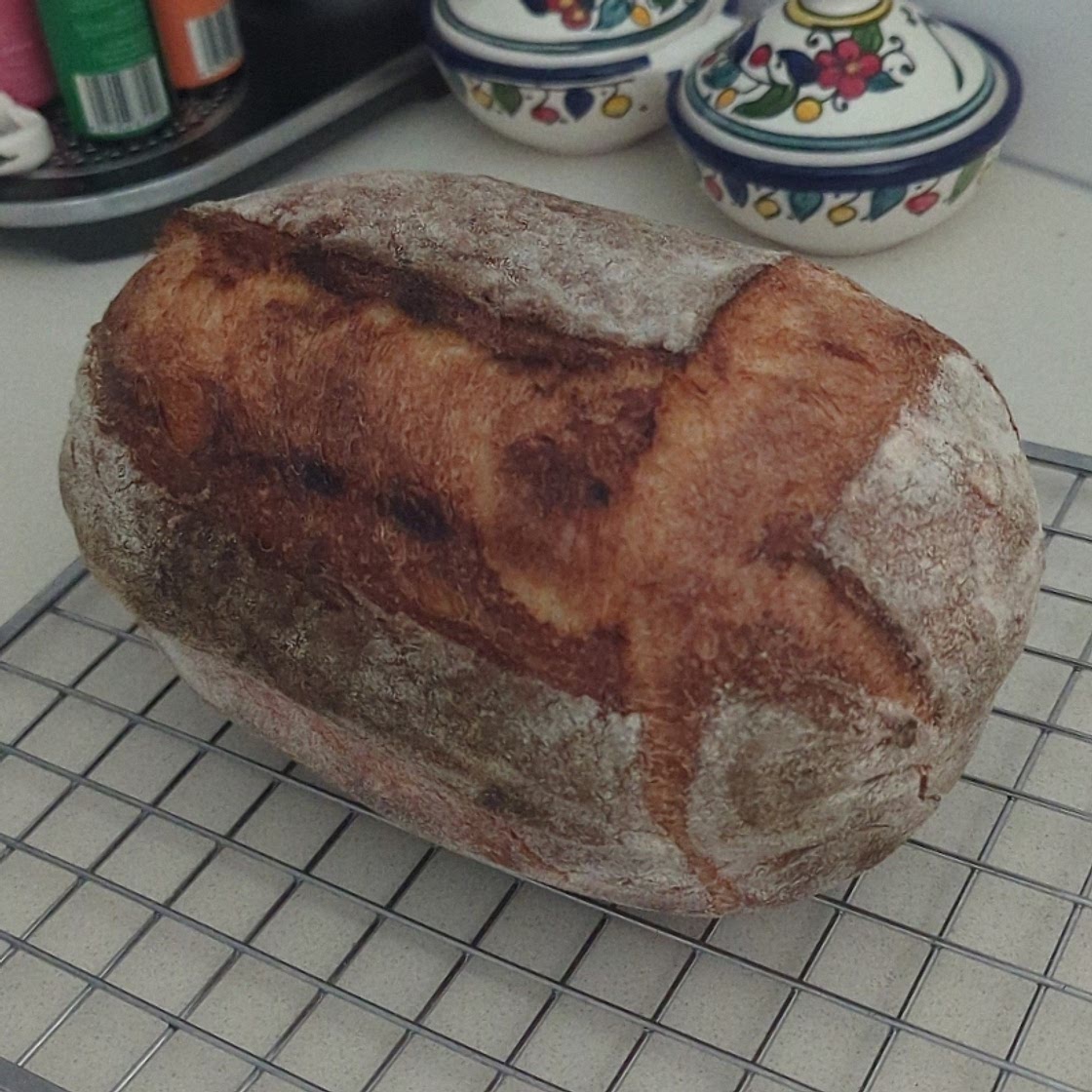 Sourdough Bread using HUNGRY starter