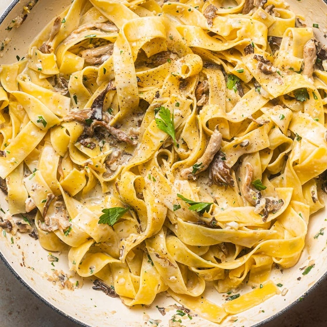 Creamy Mushroom Pappardelle