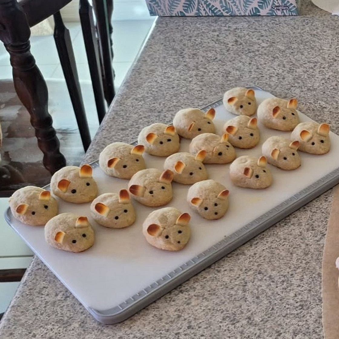 Low FODMAP Night Before Christmas Mice Cookies