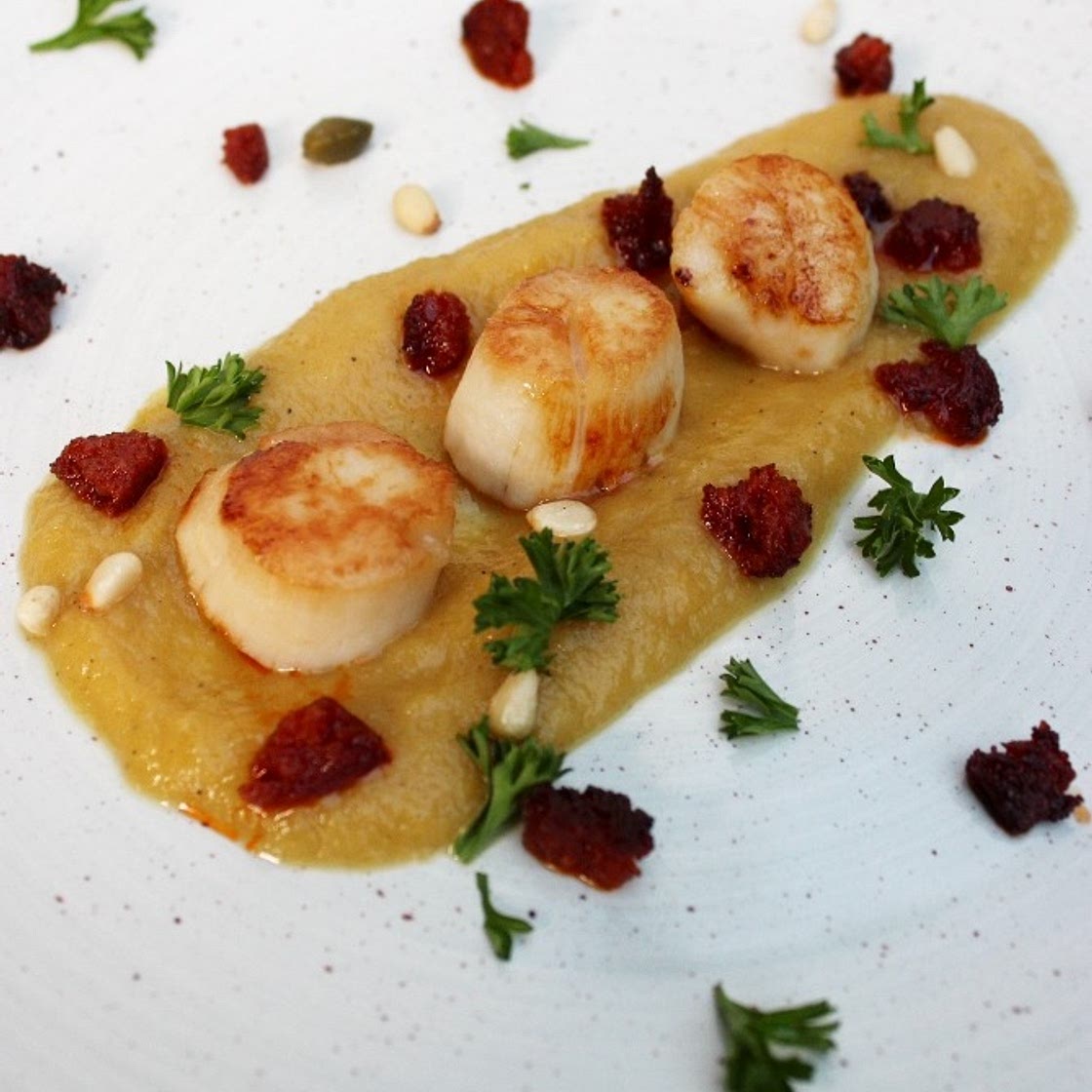 Scallops over Curried Carrot Puree