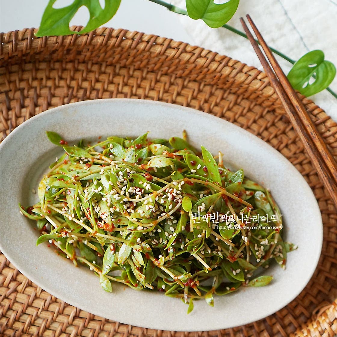 돌나물무침 돈나물무침 돌나물 요리 상큼한 나물반찬