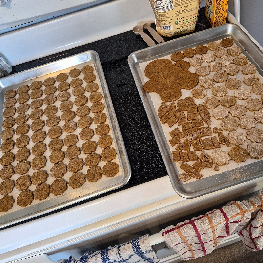 Peanut Butter Pumpkin Dog Treats