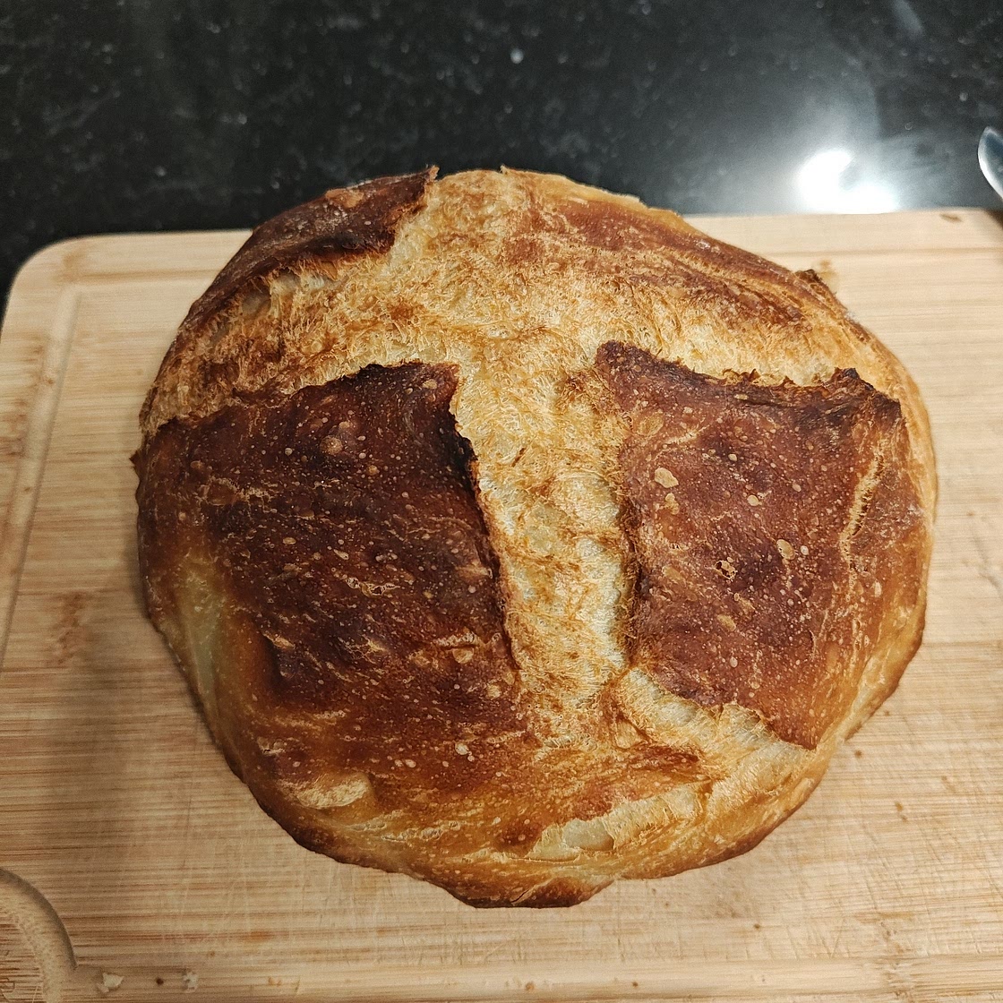 Crusty Artisan Bread 