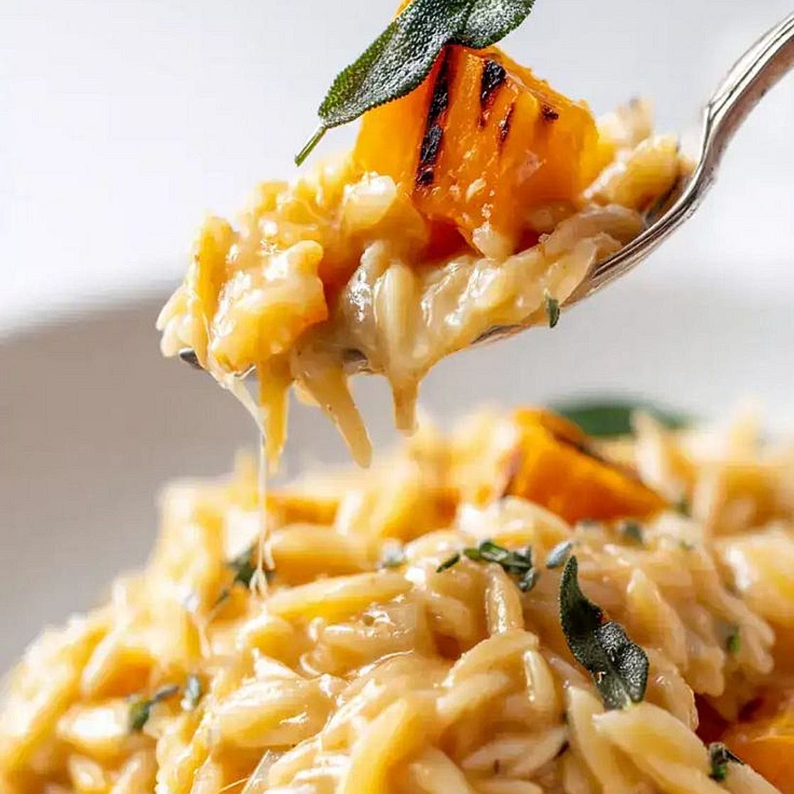 Butternut-Spinach Orzo