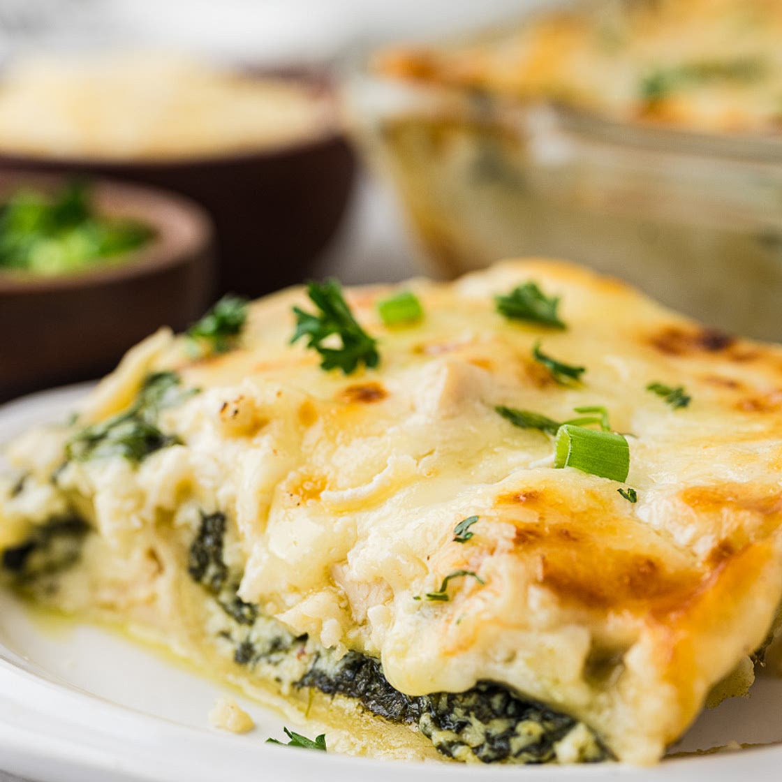 Chicken Alfredo Lasagna
