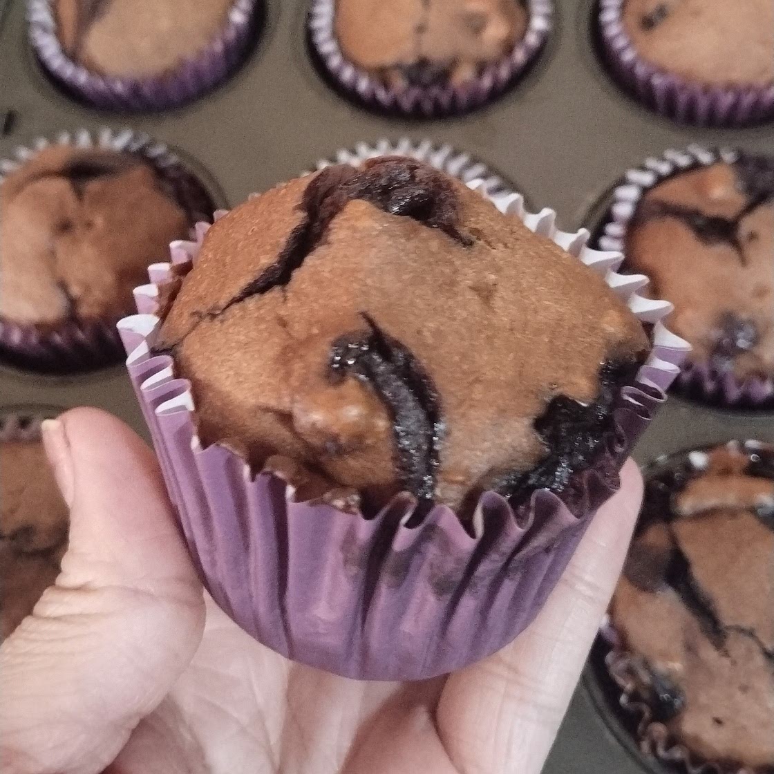Protein Blueberry Muffins Recipe