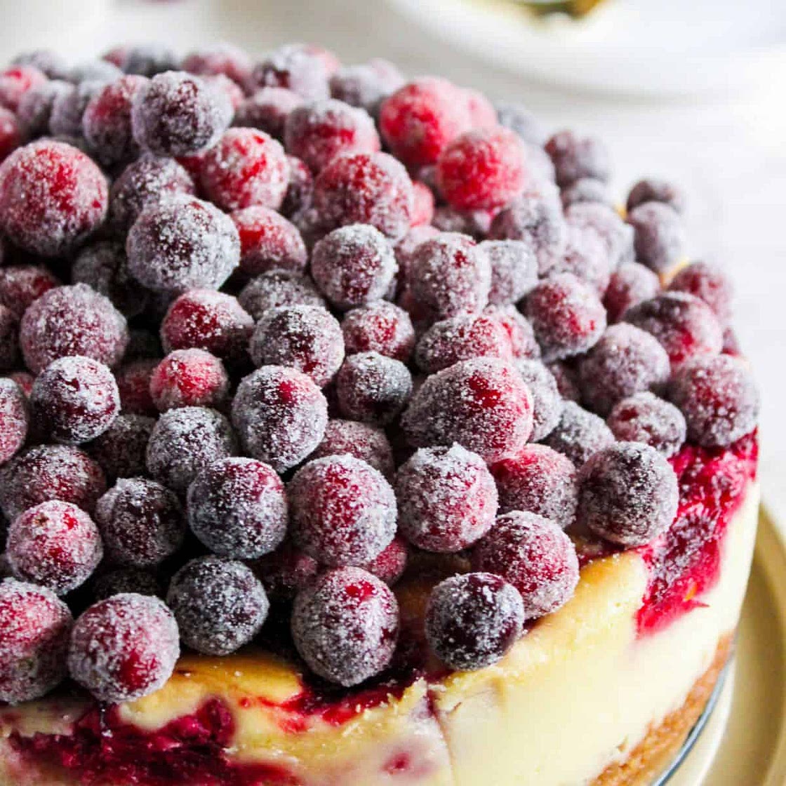 Cranberry Cheesecake