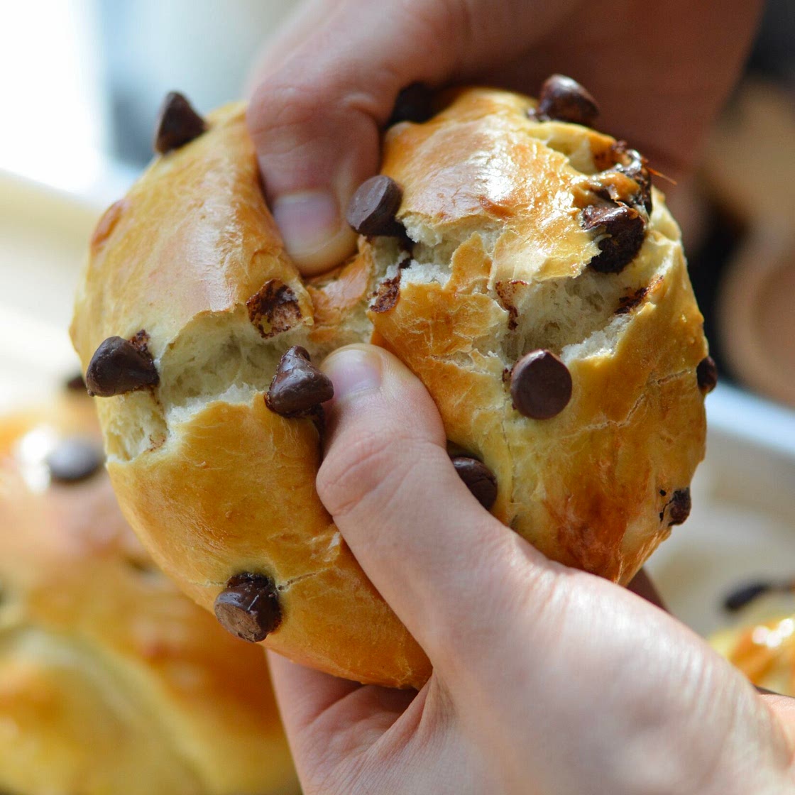 Chocolate Chip Brioche Rolls