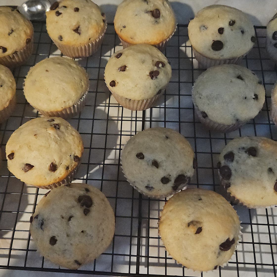 Chocolate chip muffins 