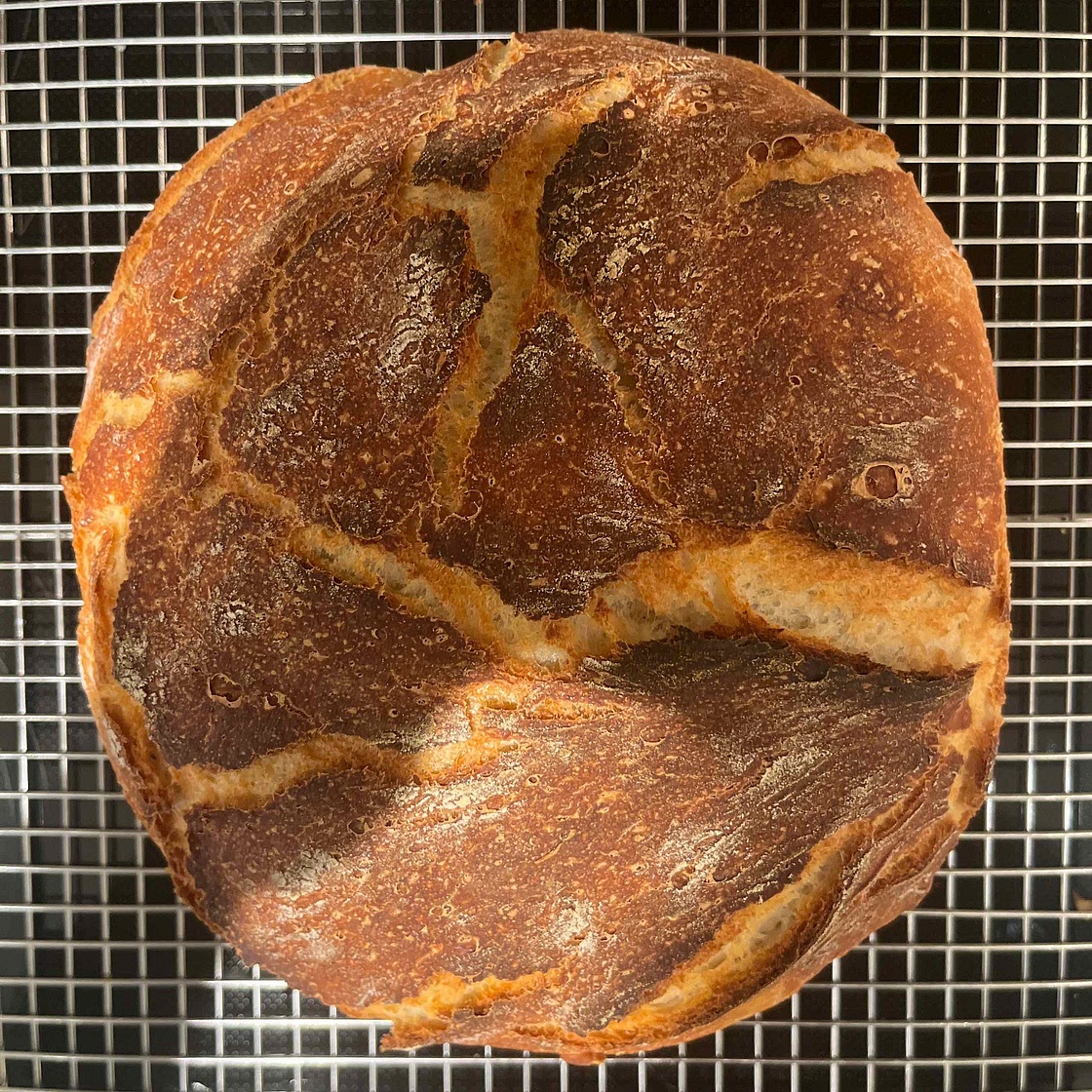 Cheaters No Knead Dutch Oven Sourdough Bread