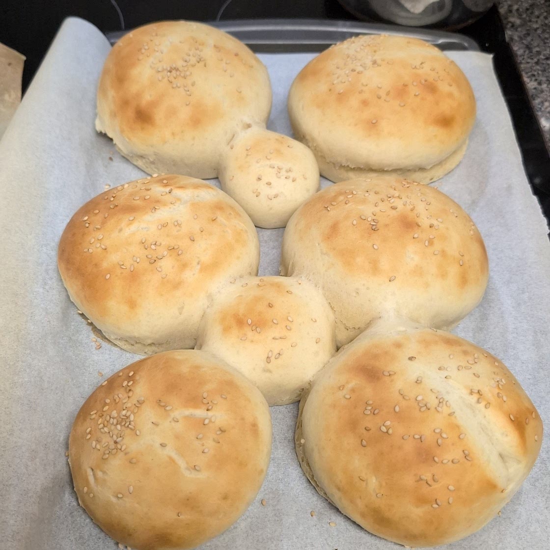 40 minute hamburger buns