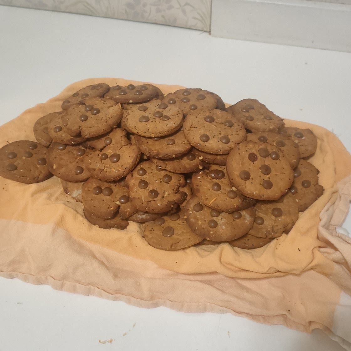 Protein Cookies