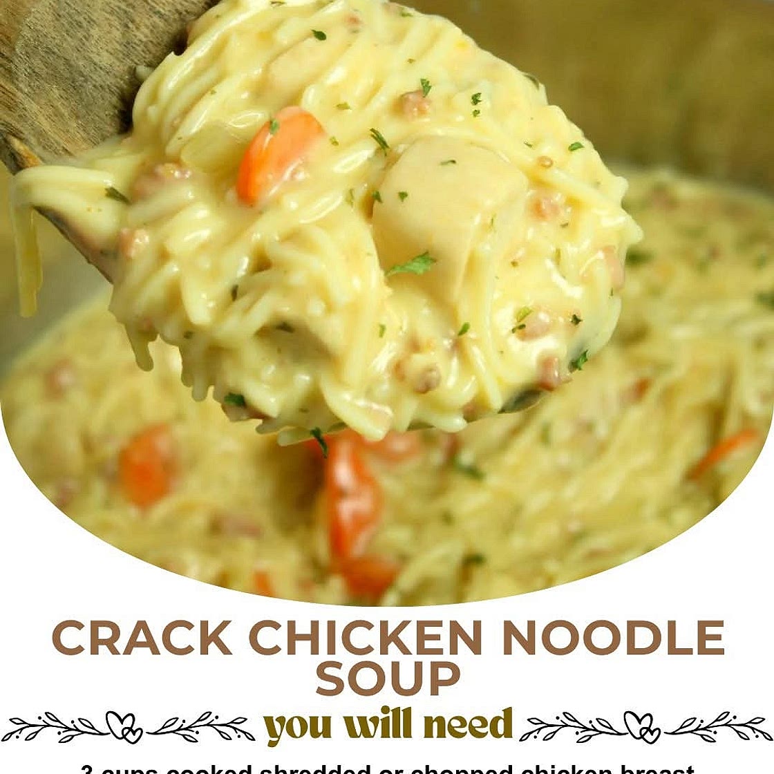 Crack Chicken Noodle Soup