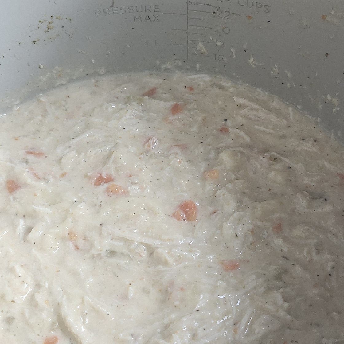 Instant Pot Creamy Chicken Noodle Soup