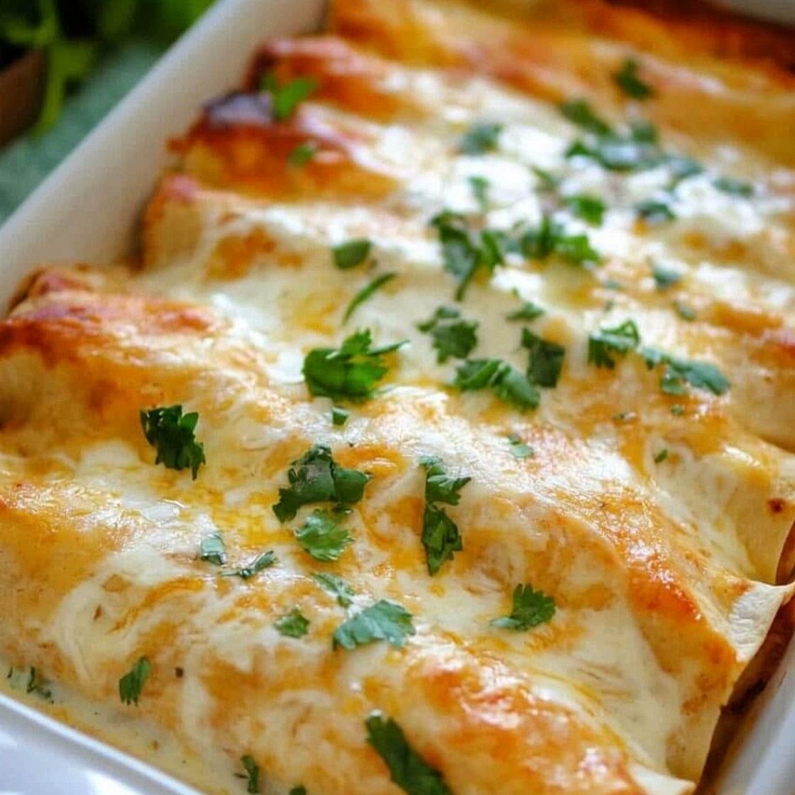 Sour cream Enchiladas