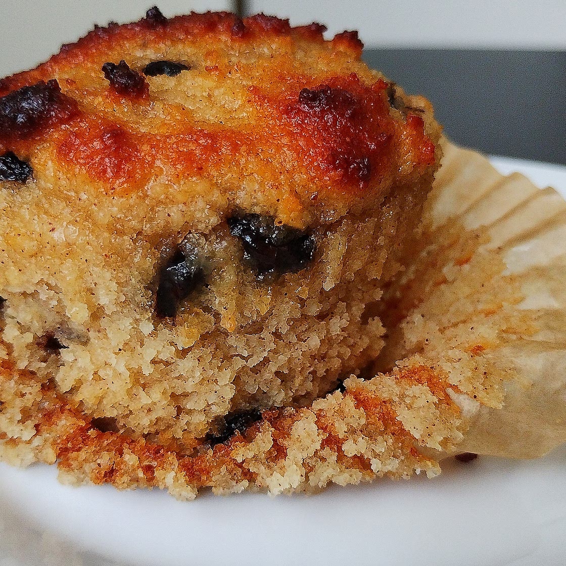 Sugar free Choc Chip muffins