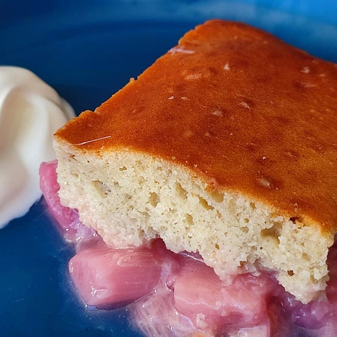 Rhubarb & Ginger Pudding