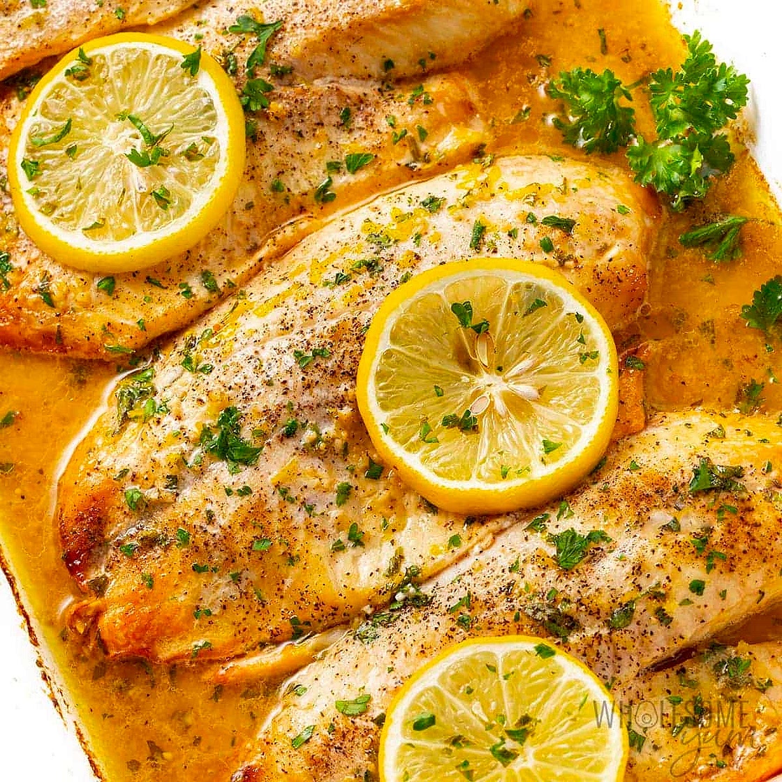 Tilapia