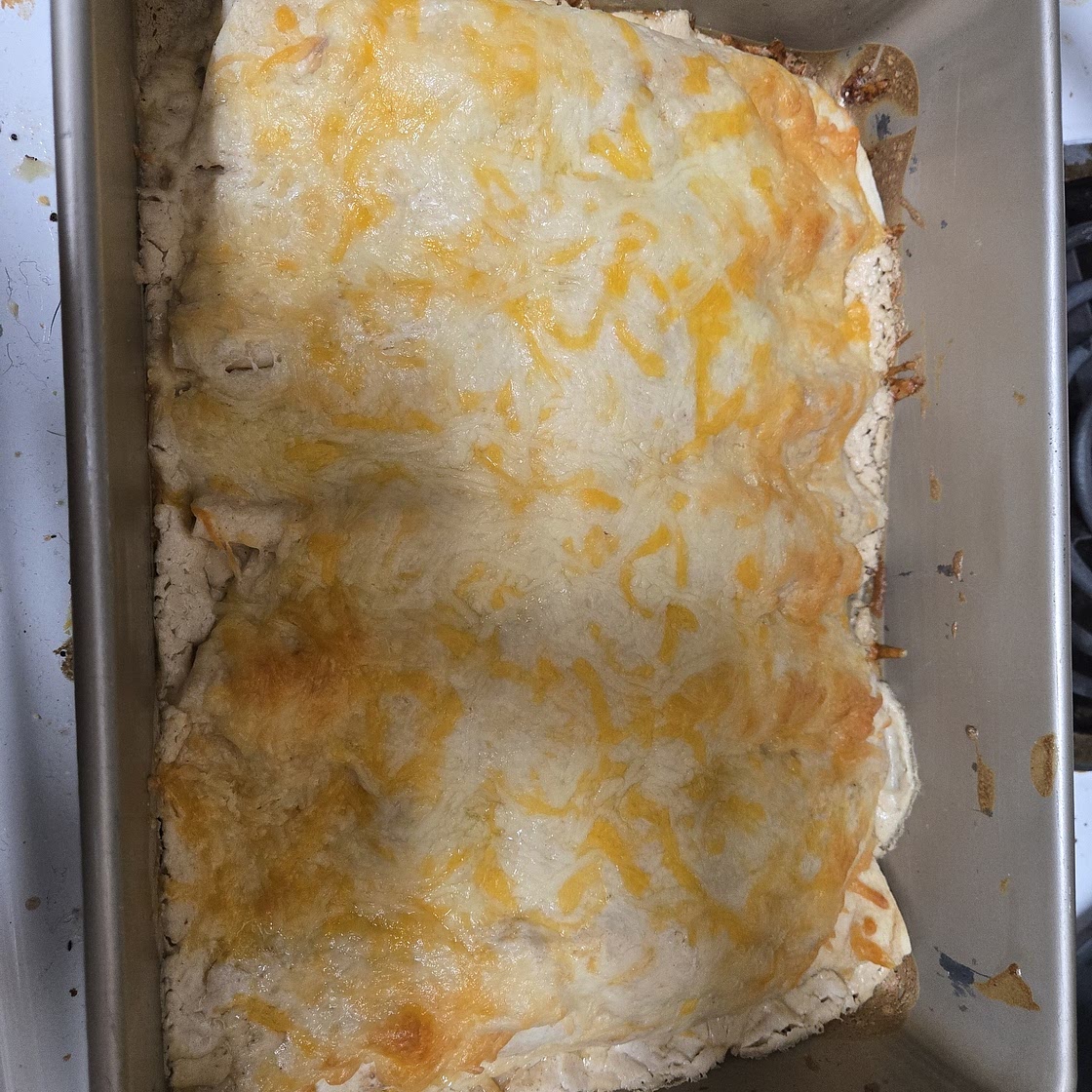 Creamy Chicken Enchiladas