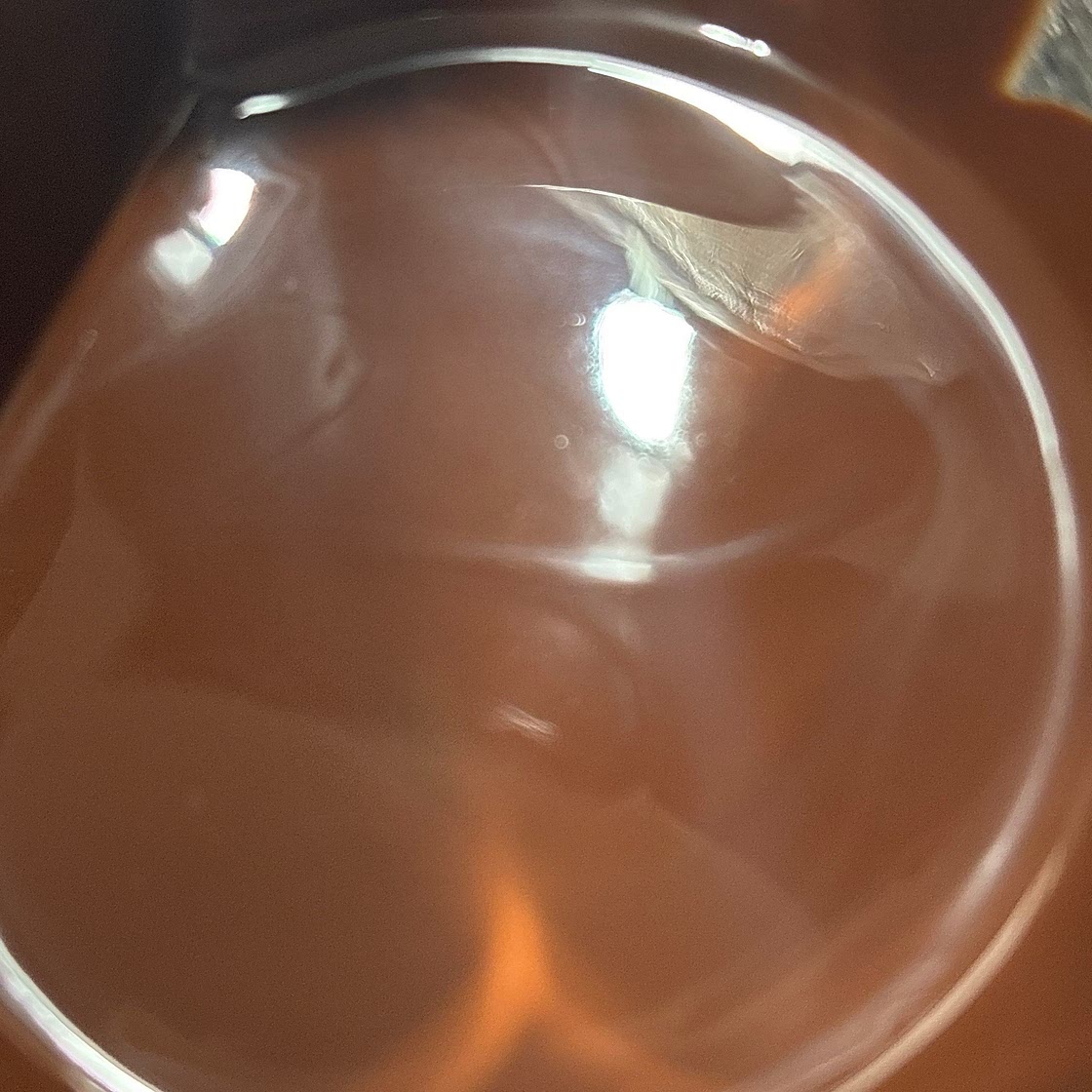 Sugar-Free Dark Chocolate Bar (Monk Fruit Sweetened)