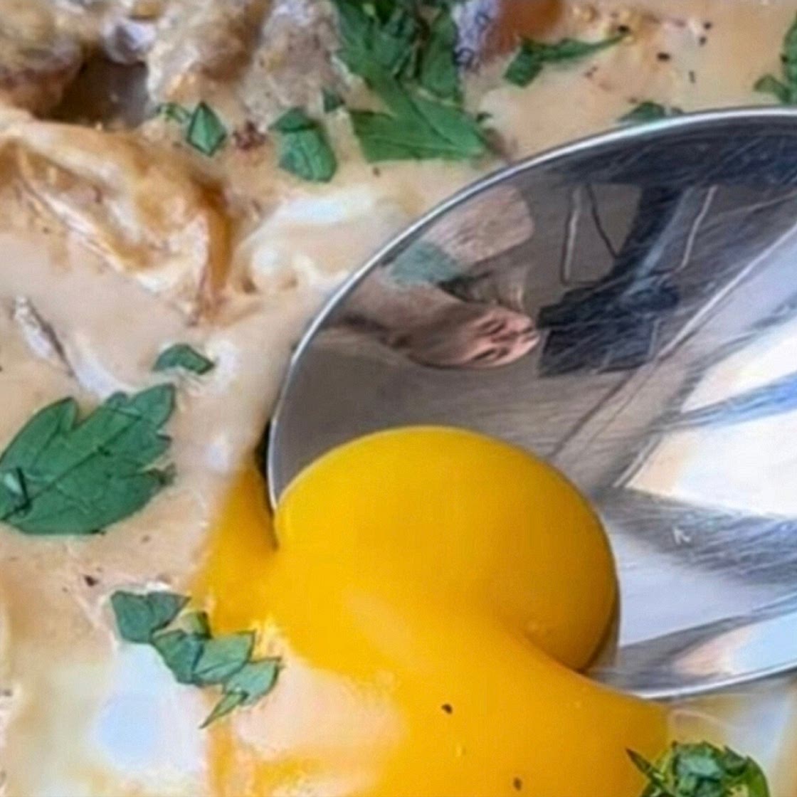 Œufs pochés à la crème et champignons