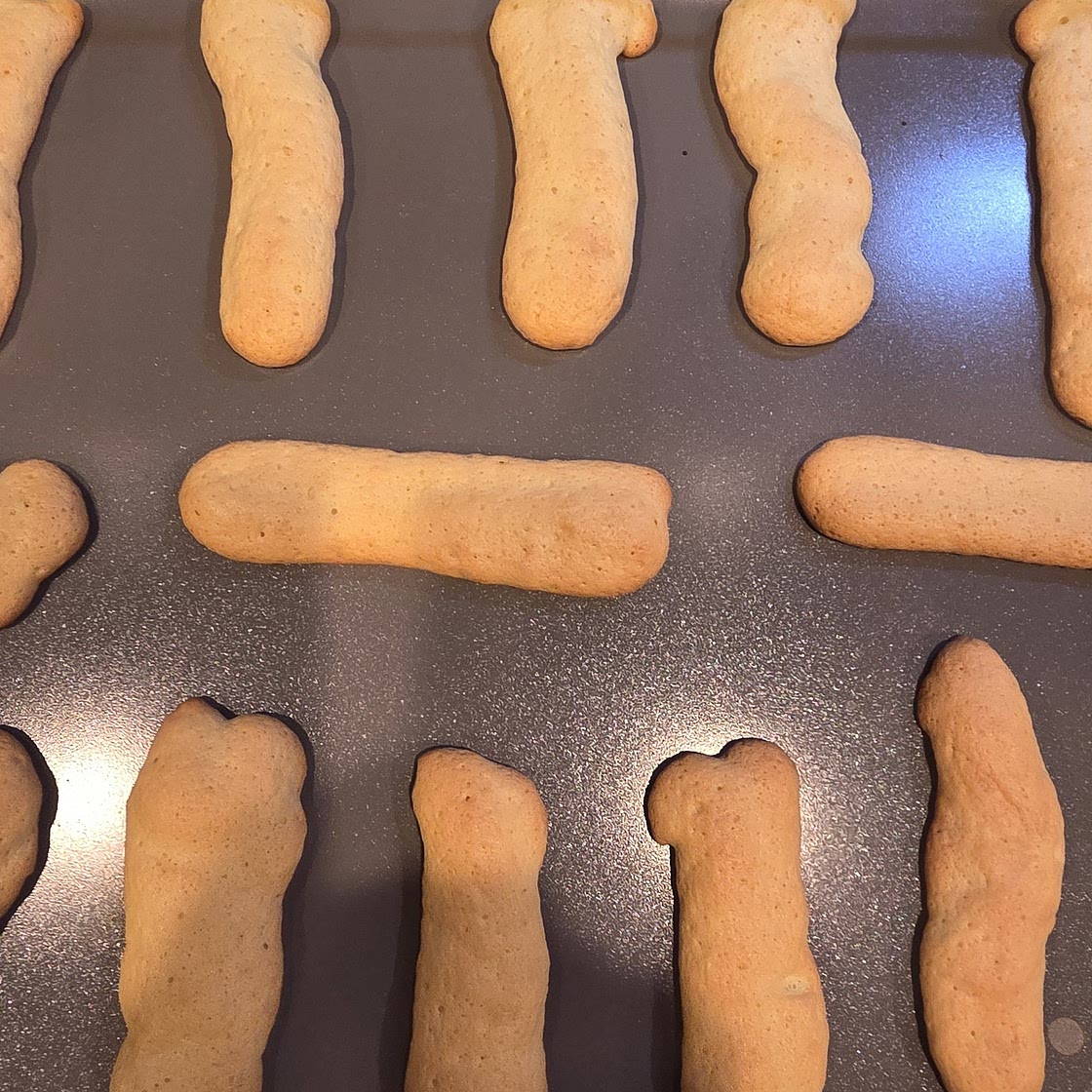 Ladyfingers (Savoiardi)