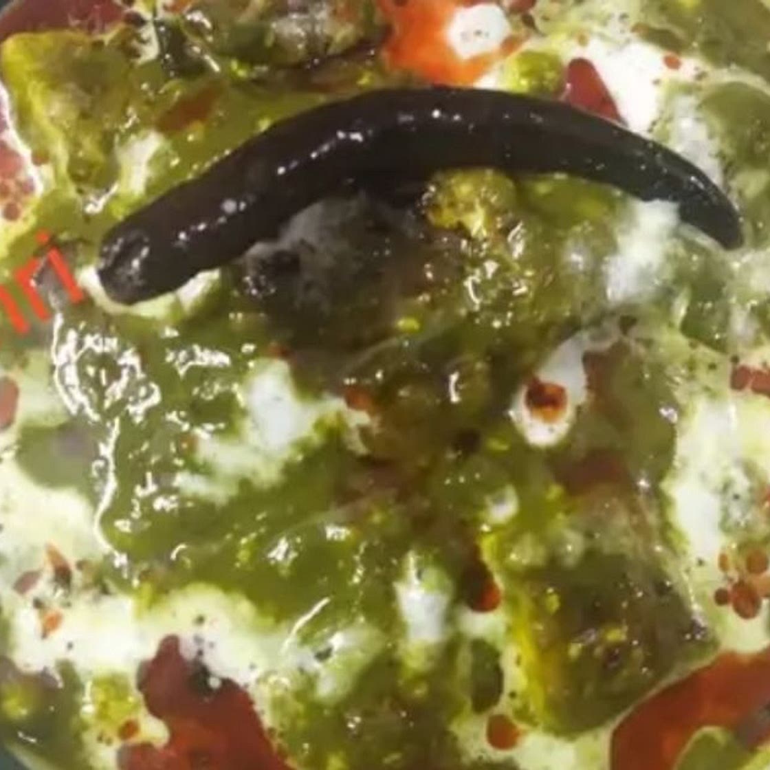 पालक पनीर (palak paneer recipe in Hindi)