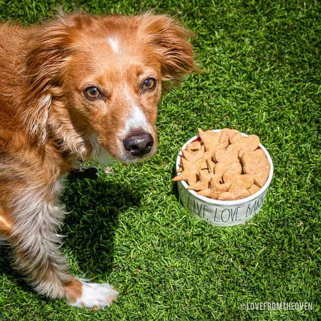 Peanut Butter Dog Treats