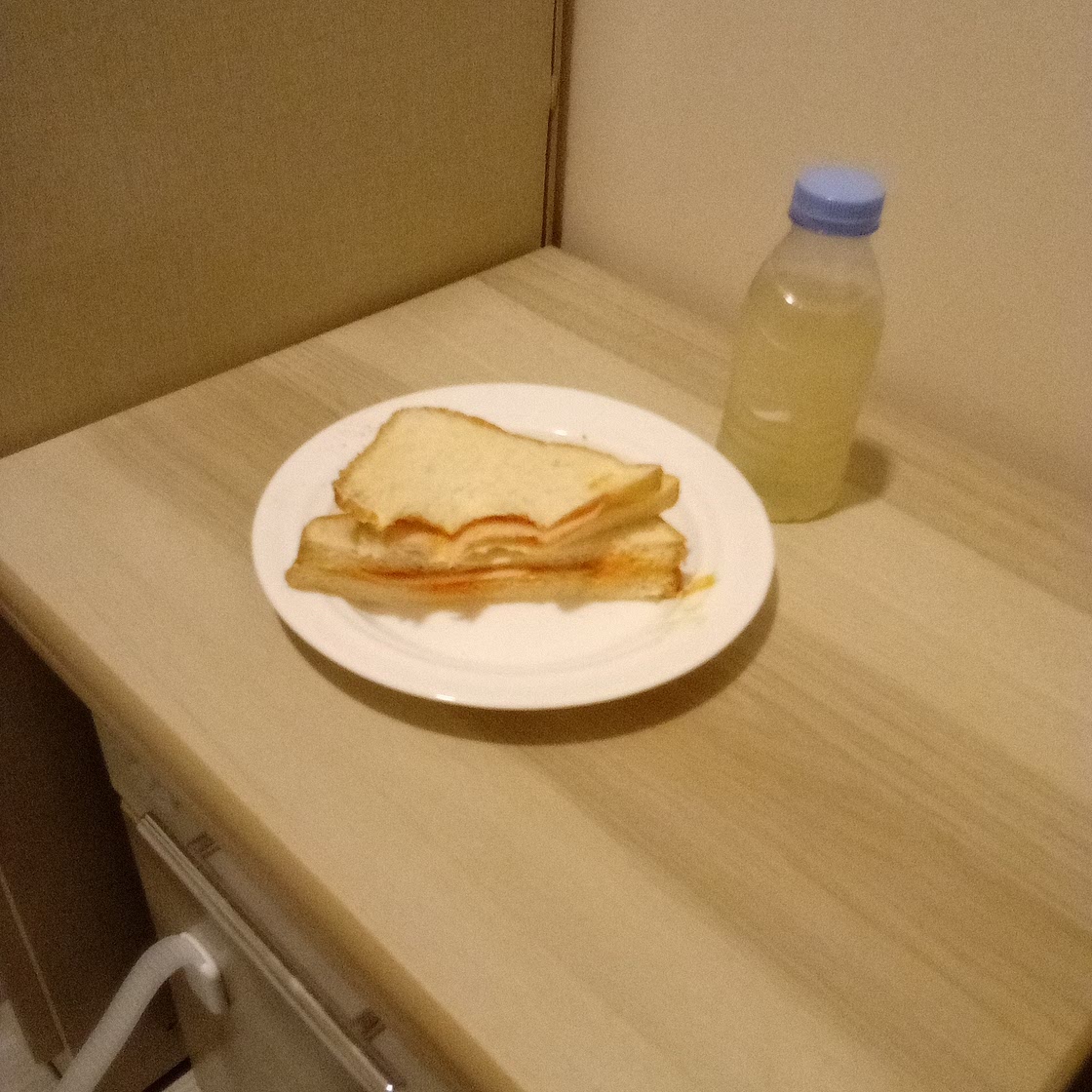 The Perfect Sandwich (no stove)