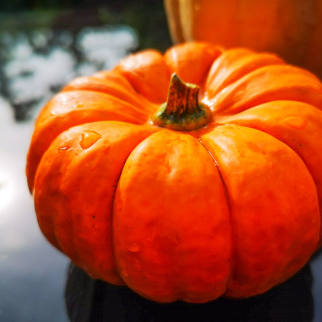 Easy Roast Pumpkin Seeds Recipe