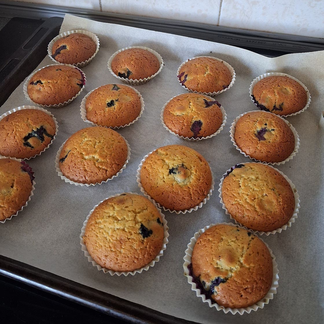 Blueberry Muffins