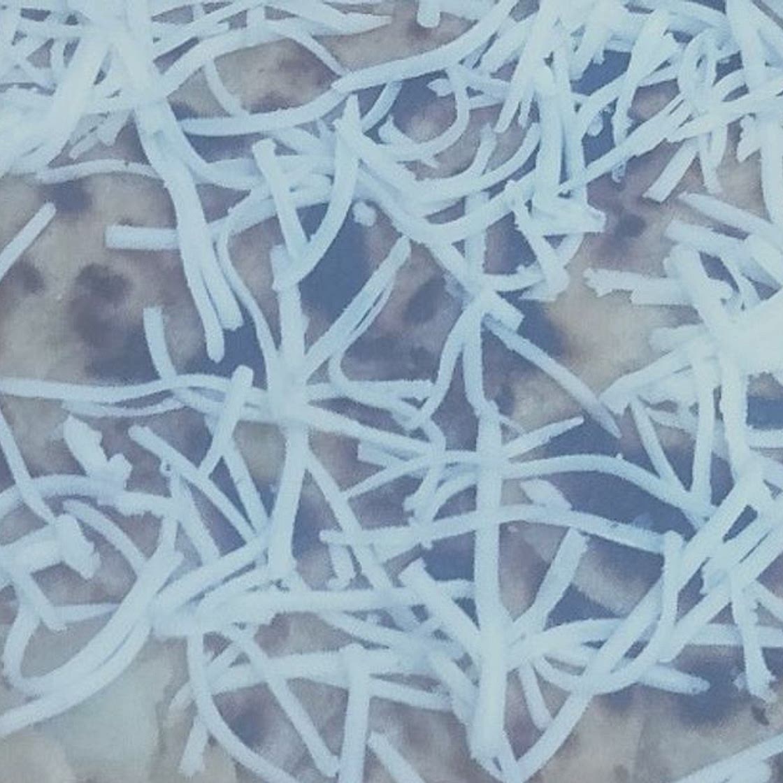 चीज़ आलू पराठा(cheese aloo paratha recipe in Hindi)