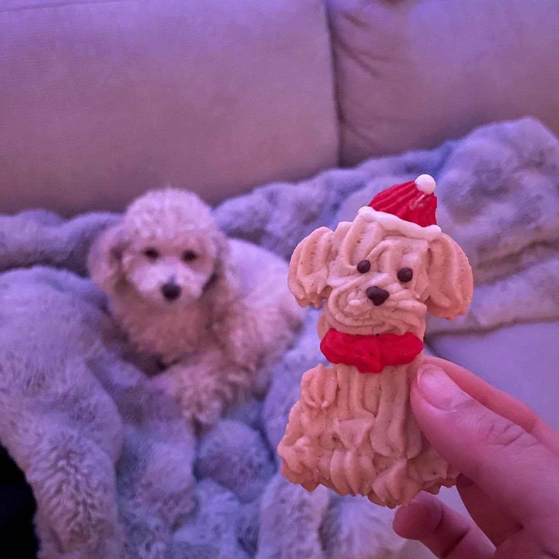 Christmas Puppy Butter Cookies 