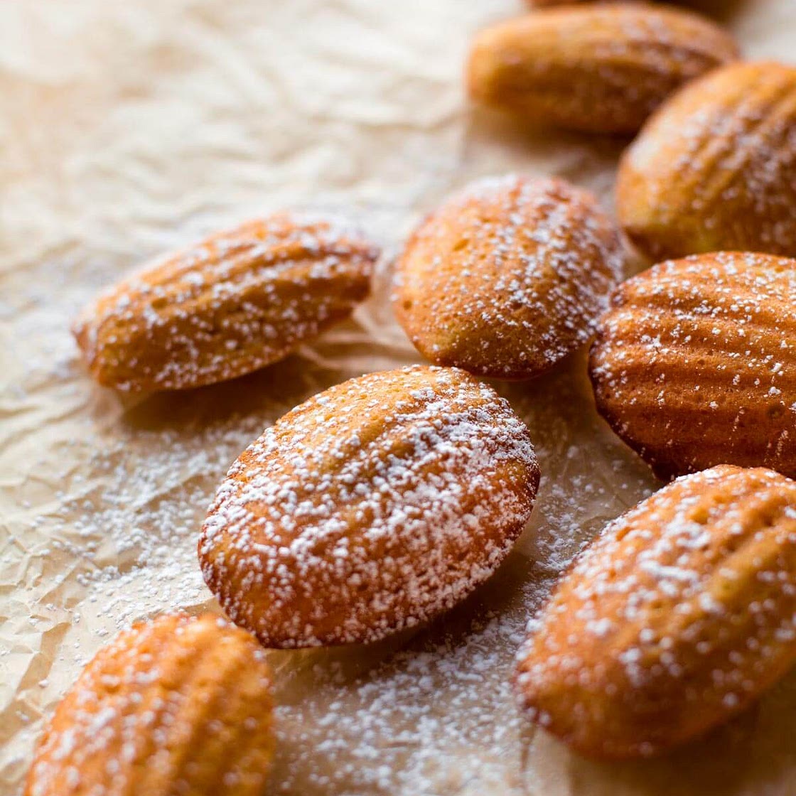Madeleines
