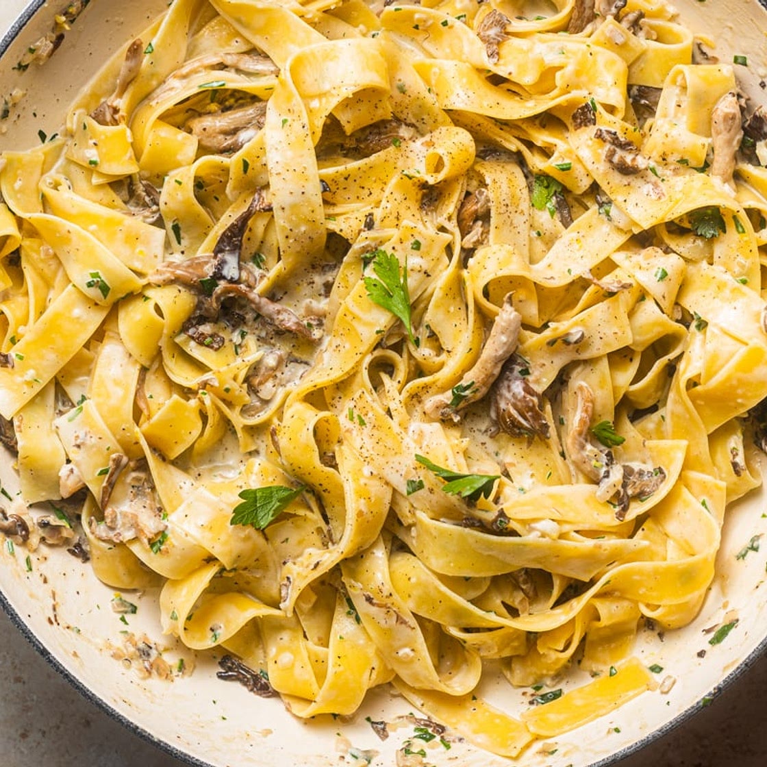Creamy Mushroom Pappardelle