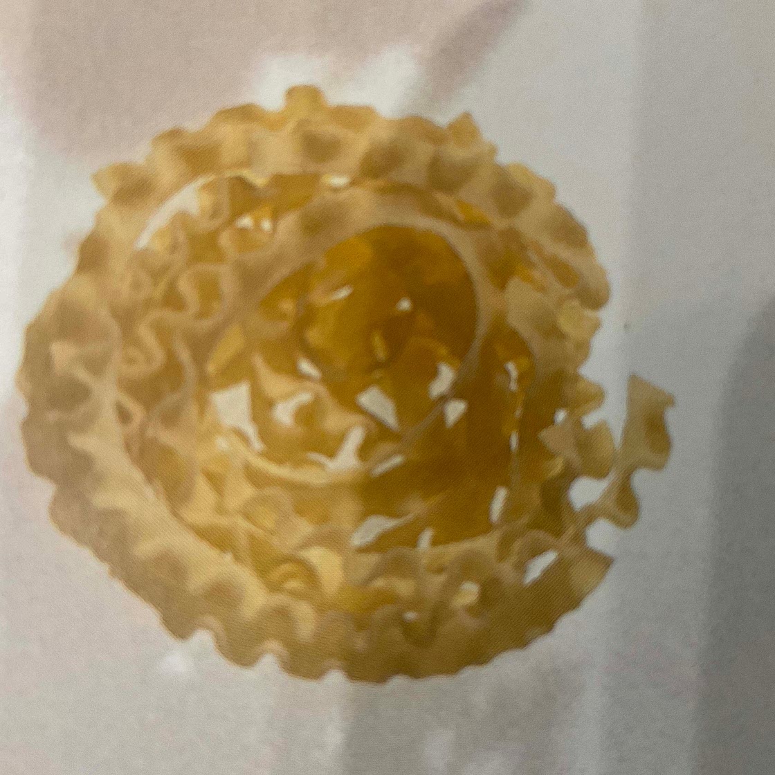 Pasta dough #4 