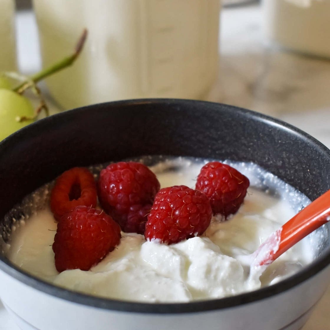 Homemade (Greek) Yogurt