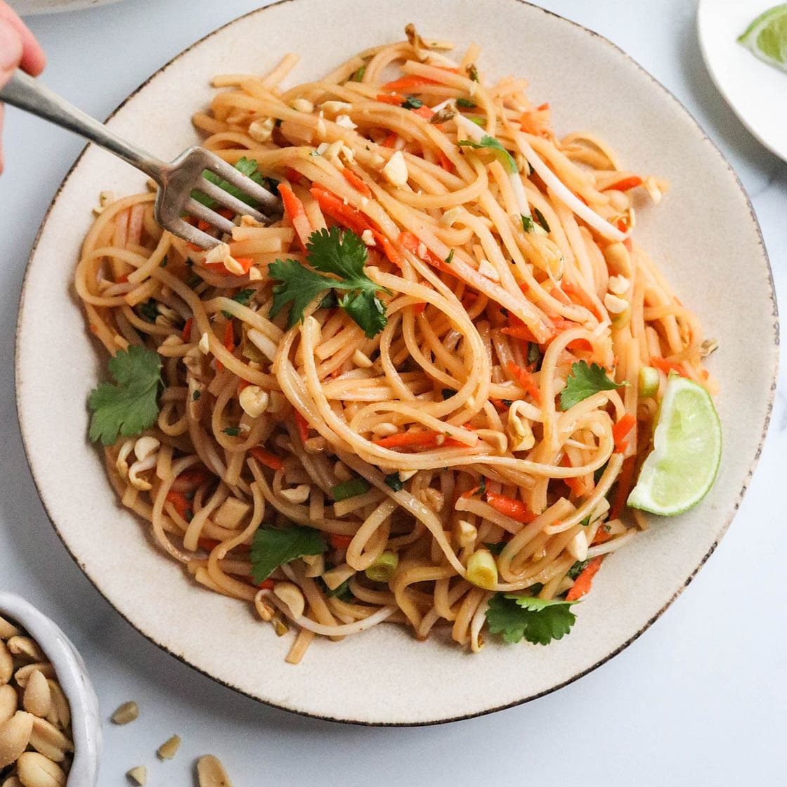 Vegetarian Pad Thai (with Extra Veggies!)