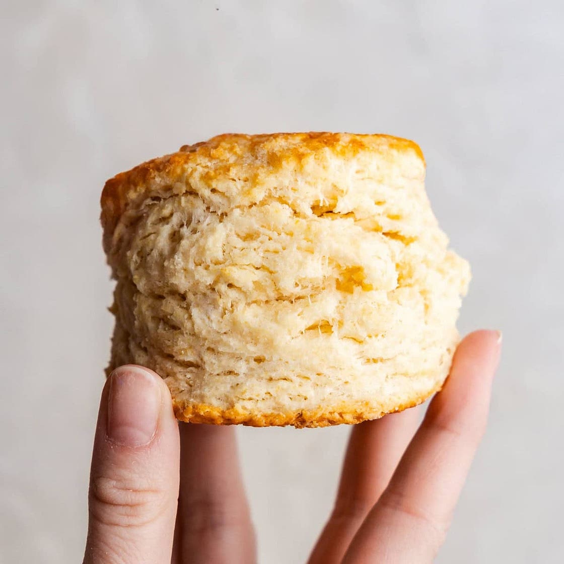 Flaky Old Fashioned Biscuits