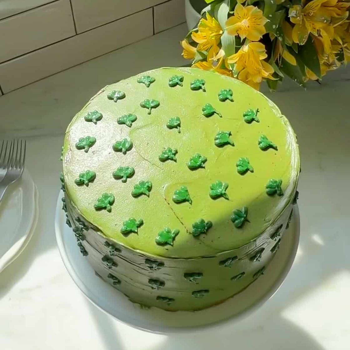 Chocolate Matcha Cake