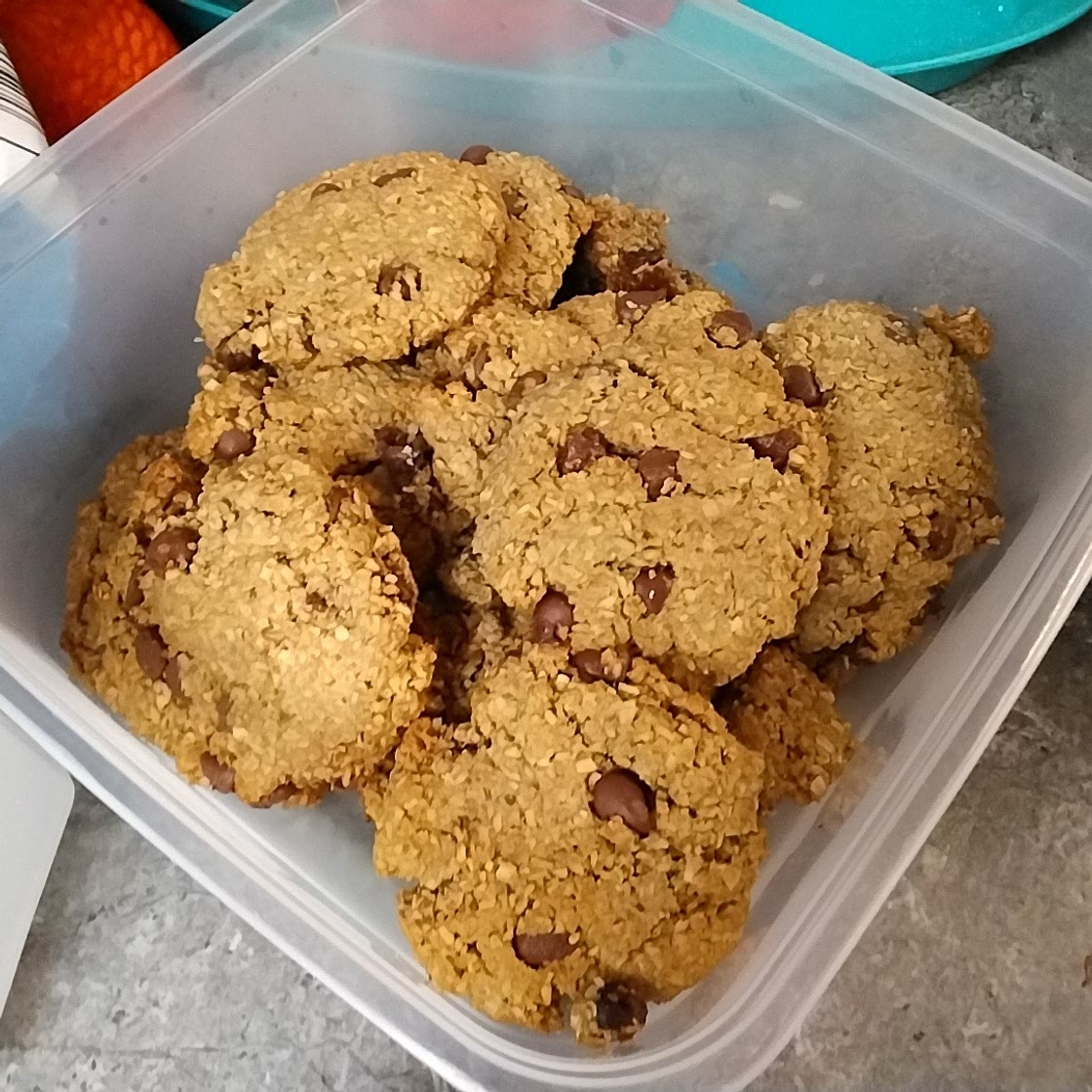 Banana Breakfast Cookies