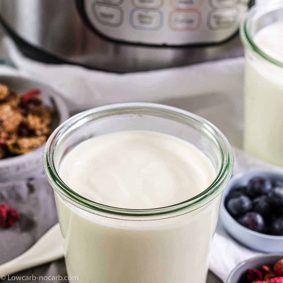 Instant Pot Keto Cold Start Greek Yogurt