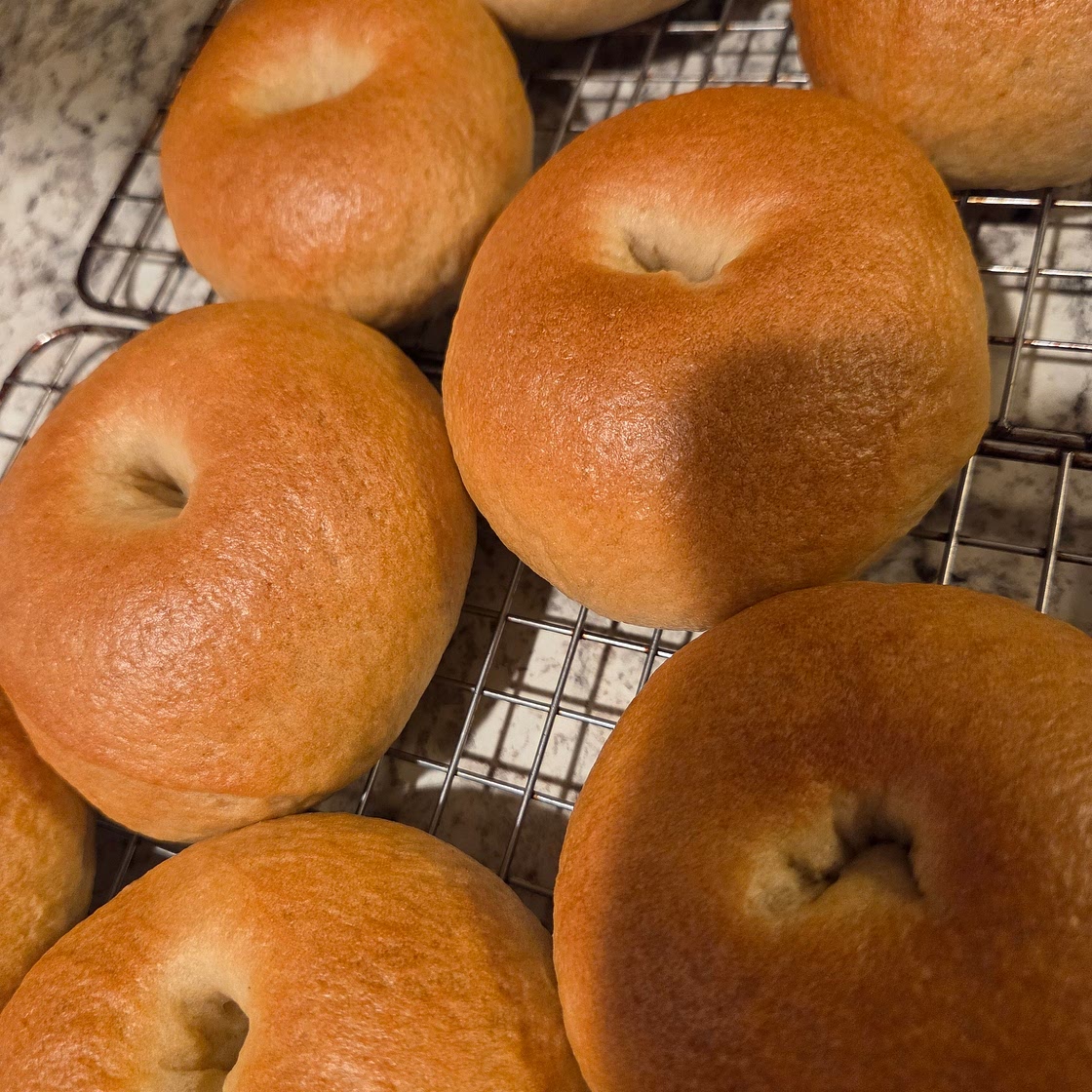 Bakery-Style Plain Bagels  High Protein • Added Fiber • No Dairy