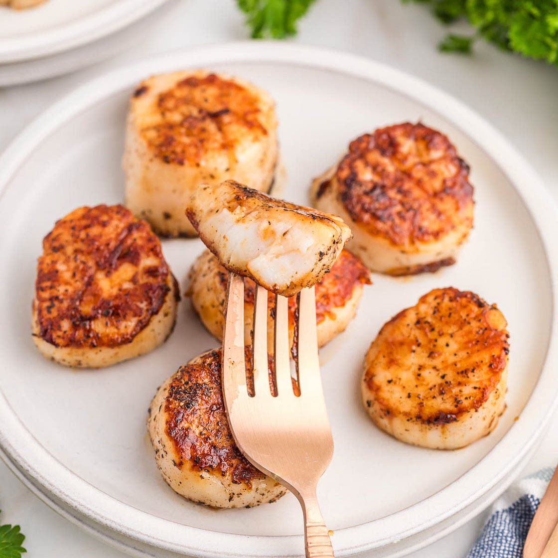 Scallops on Blackstone