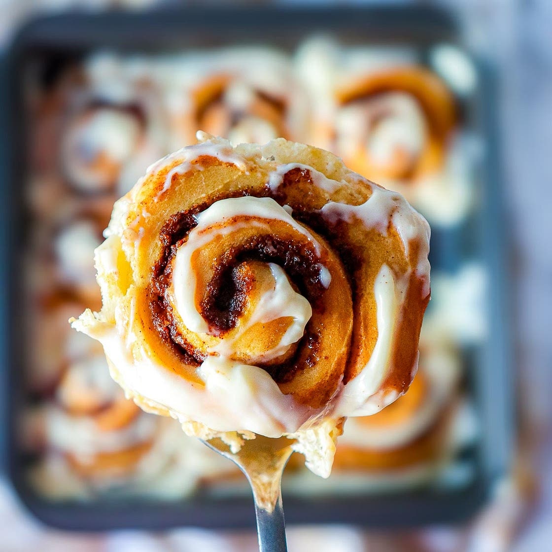 Pumpkin Cinnamon Rolls with Maple Cream Cheese Glaze
